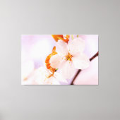 Frontale weergave van kersenbloesem in het lentese canvas afdruk (Voorkant)