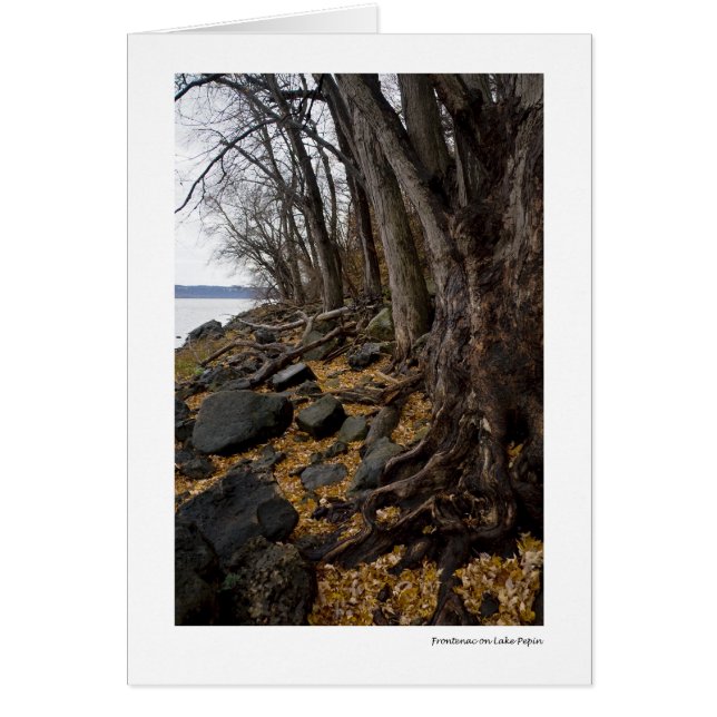 Frontenac sur le lac Pepin (Devant)