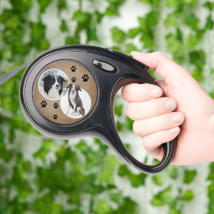 Frontière Empreinte de patte rustique Collie Chien