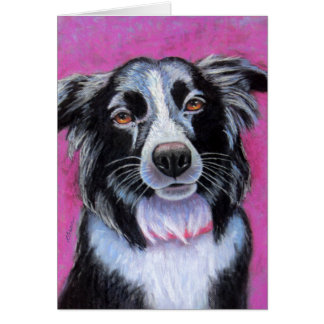 Frontière Moon Chien Collie