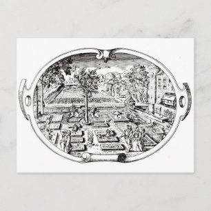 Frontispiece uit 'The Herball', door John Gerard ( Briefkaart
