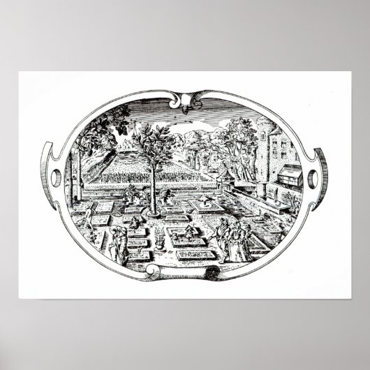 Frontispiece uit 'The Herball', door John Gerard ( Poster (Voorkant)