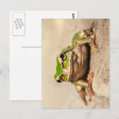 FROSCH BRIEFKAART (Voorkant / Achterkant)