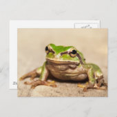 FROSCH BRIEFKAART (Voorkant / Achterkant)
