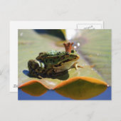 Froschkönig Briefkaart (Voorkant / Achterkant)