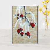 Frost Covered Berries denkend aan jou Kaart (Gele Bloem)