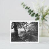 Frost d'automne en Cheshire Carte postale (Debout devant)