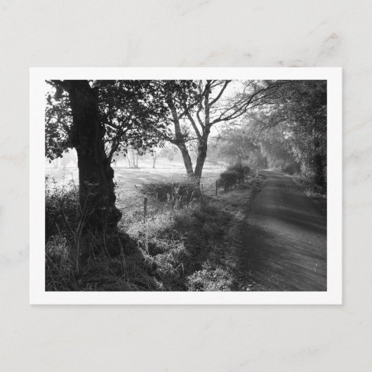 Frost d'automne en Cheshire Carte postale (Devant)