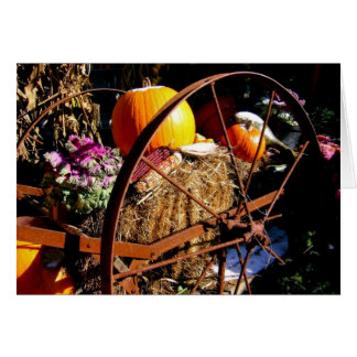 Frost on the Pumpkin