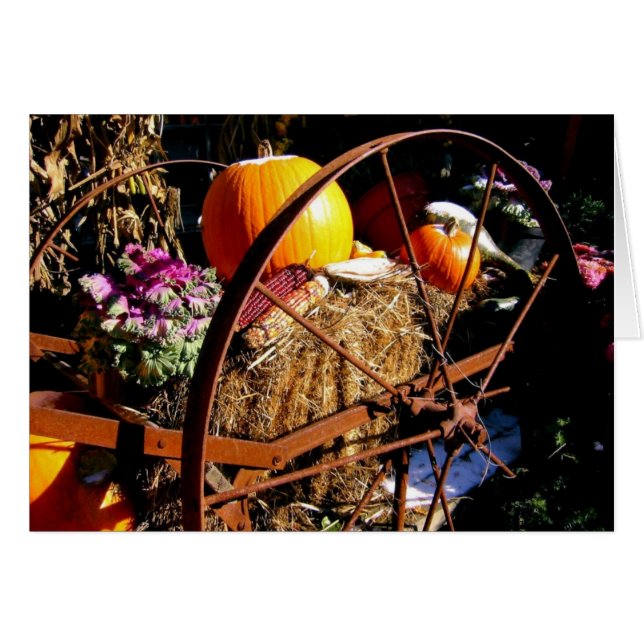 Frost on the Pumpkin (Voorkant Horizontaal)