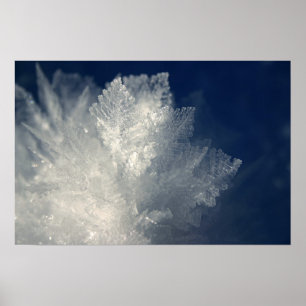 Frost Poster