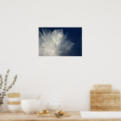 Frost Poster (Keuken)