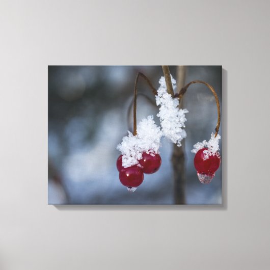 Frosted Berries Canvas Afdruk (Voorkant)