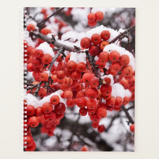 Frosted Berries Planner (Voorkant)