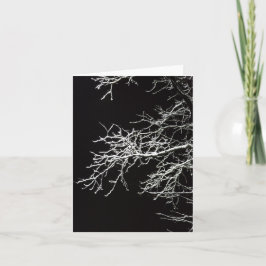 Frosted Branches - Blank Gevouwen Kaart