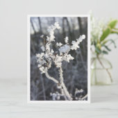 "Frostpoéie - Invitation avec branche de Raureif" (Debout devant)