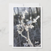 "Frostpoéie - Invitation avec branche de Raureif" (Devant)