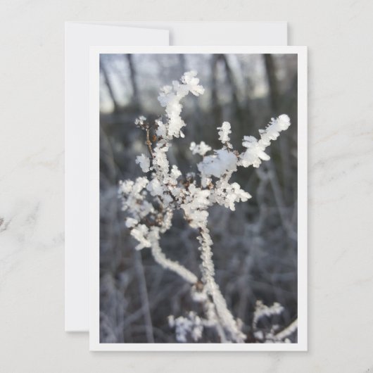 "Frostpoéie - Invitation avec branche de Raureif" (Devant)