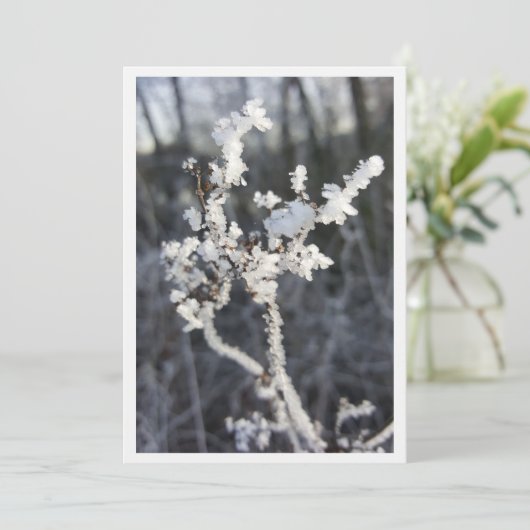 "Frostpoéie - Invitation avec branche de Raureif" (Debout devant)