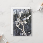  „Frostpoesie – Einladung mit Raureif-Zweig“ Kaart (Voorkant / Achterkant in situ)