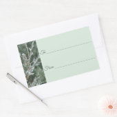 Frosty À feuillage persistant Juniper Étiquette ca (Enveloppe)