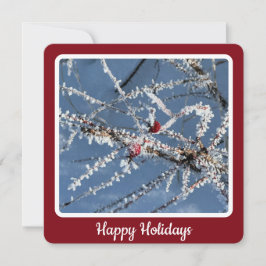 Frosty Branches - Flat Holiday Kaart