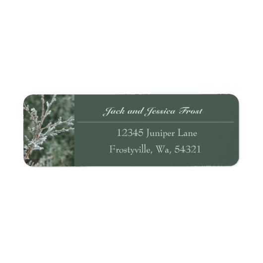 Frosty Evergreen Branch Return-adreslabel Etiket (Voorkant)
