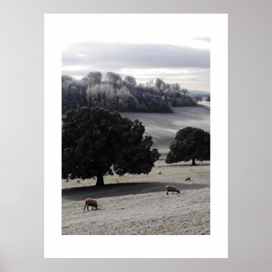 Frosty Goedemorgen Poster (Voorkant)