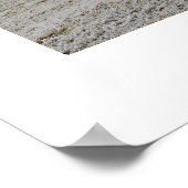 Frosty Goedemorgen Poster (Hoek)