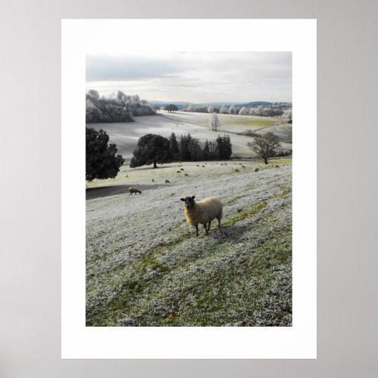 Frosty Goedemorgen Poster (Voorkant)