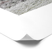 Frosty-landschap Poster (Hoek)