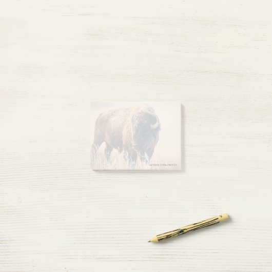 Frosty Morning - 3" x 4" Notes (Op bureau)