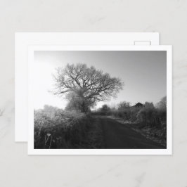Frosty Morning: Cheshire Briefkaart