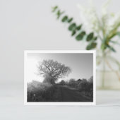 Frosty Morning: Cheshire Briefkaart (Staand voorkant)