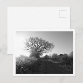 Frosty Morning: Cheshire Briefkaart