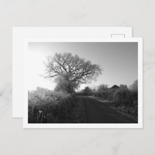 Frosty Morning: Cheshire Briefkaart (Voorkant / Achterkant)