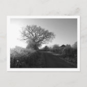 Frosty Morning: Cheshire Briefkaart (Voorkant)