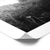 Frosty Morning: Cheshire Poster (Hoek)