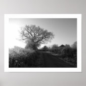 Frosty Morning: Cheshire Poster (Voorkant)