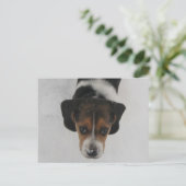 Frosty Nose Briefkaart (Staand voorkant)