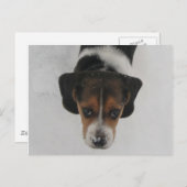 Frosty Nose Briefkaart (Voorkant / Achterkant)