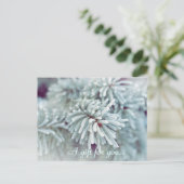 Frosty Pine Bough Holiday Cadeft Certificate Briefkaart (Staand voorkant)