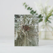 Frosty Pine Briefkaart (Staand voorkant)