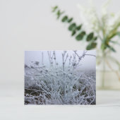 Frosty Planten Winter Landschap Briefkaart (Staand voorkant)
