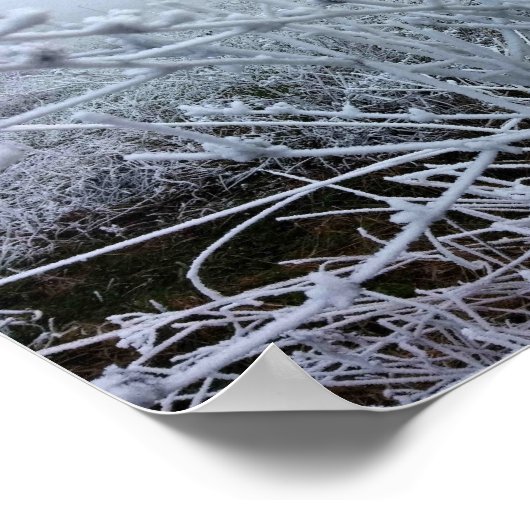 Frosty Planten Winter Landschap Poster (Hoek)