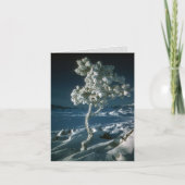 Frosty Tree en Sneeuw in Craters of the Moon Kaart (Voorkant)