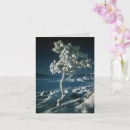 Frosty Tree en Sneeuw in Craters of the Moon Kaart