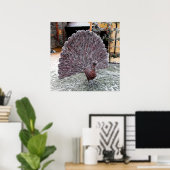 Frosty wickerwork pauock poster (Thuiskantoor)