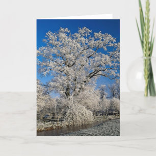 Frosty winter scene, Engeland Feestdagen Kaart