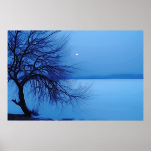 Frozen Lake - Poster (Voorkant)